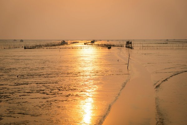 Voyagez en van aménagé pour un hébergement économique et nomade