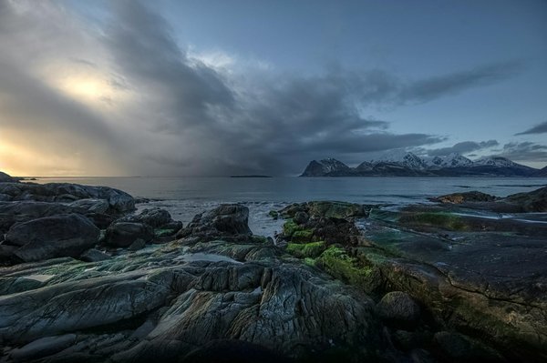 Emplacement de camping en Vendée avec sanitaires privatifs confortables